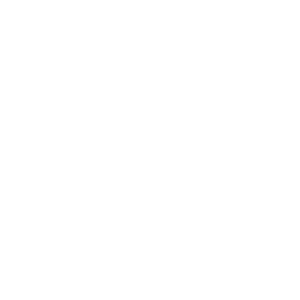 autolift icon