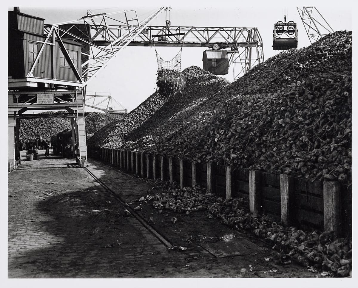 Houtstortorens en graafmachines bij SugarFactory, klaar voor verwerking van hout.
